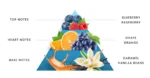 PCB3711_Kaniz_WonderEdge_120mlJar_Blueberry-front_800x.webp