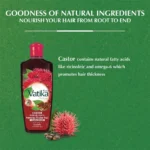 6291069719871-Hair-Oil-Main